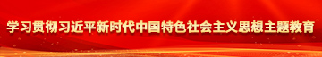 啊啊啊操死了在线观看学习贯彻习近平新时代中国特色社会主义思想主题教育